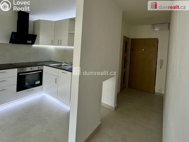 Pronájem bytu 1+1 Ústí nad Labem, Glennova č. 7