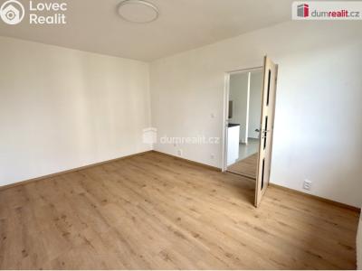 Pronájem bytu 1+1 Ústí nad Labem, Glennova č. 2