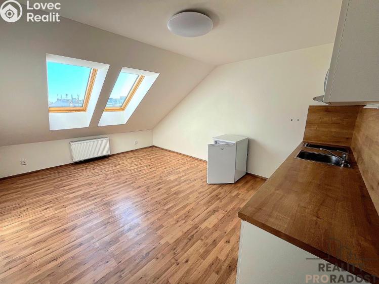 Pronájem bytu 1+KK Brno, Vlhká č. 2