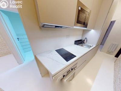 Pronájem bytu 3+KK Praha, Krakovská č. 1