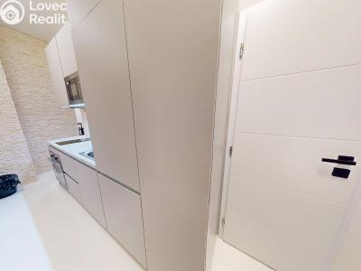 Pronájem bytu 3+KK Praha, Krakovská č. 5