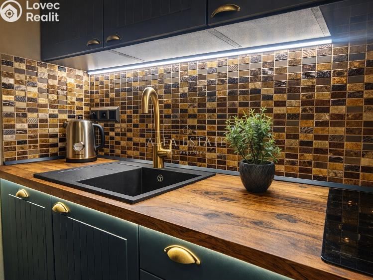 Оренда сімейного будинку Karlovy Vary, Mariánská č. 8