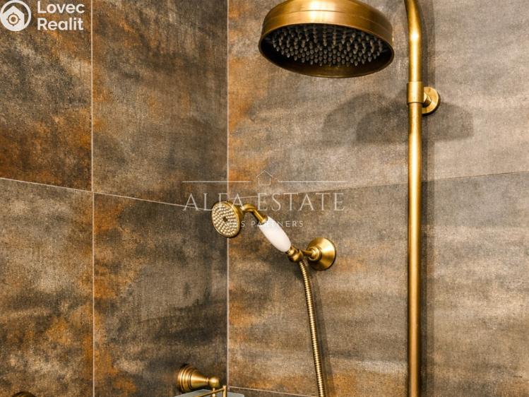 Rent family house Karlovy Vary, Mariánská č. 18