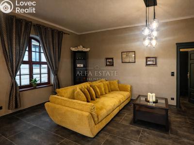 Оренда сімейного будинку Karlovy Vary, Mariánská č. 5