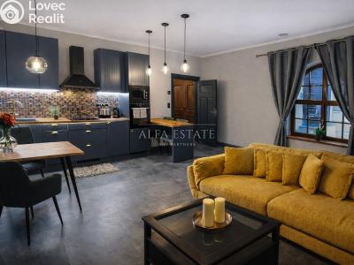 Аренда семейного дома Karlovy Vary, Mariánská č. 2