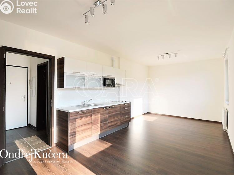 Pronájem bytu 1+KK Praha, Barvitiova 934/2 č. 1