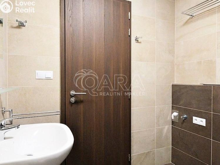 Pronájem bytu 1+KK Praha, Barvitiova 934/2 č. 15