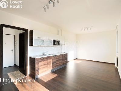 Rent apartment 1+KK Praha, Barvitiova č. 1