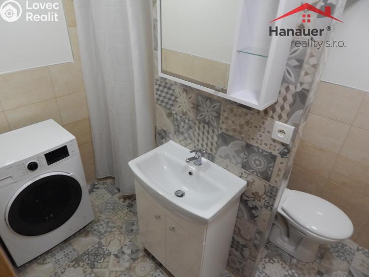 Pronájem bytu 1+1 Ústí nad Labem, Sibiřská č. 8