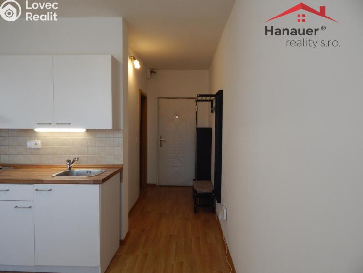 Pronájem bytu 1+1 Ústí nad Labem, Sibiřská č. 12