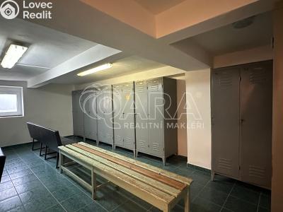 Prodej výrobní haly Luby č. 25
