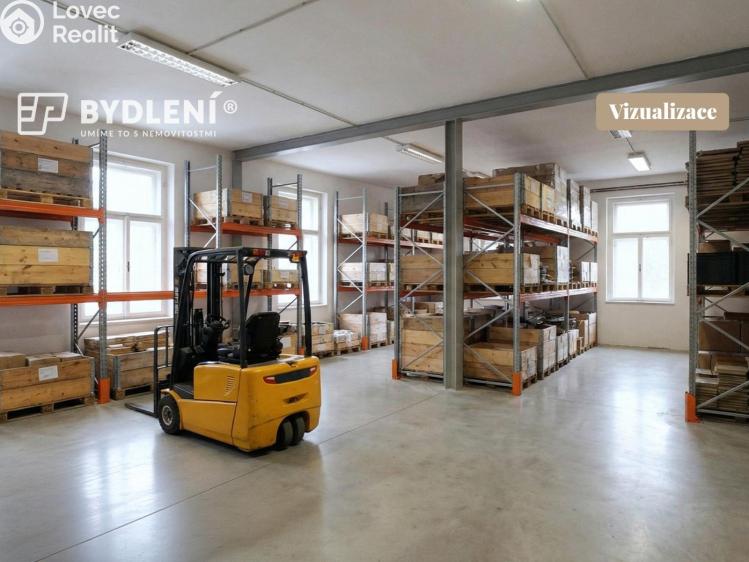 Prodej výrobní haly Malé Březno č. 13