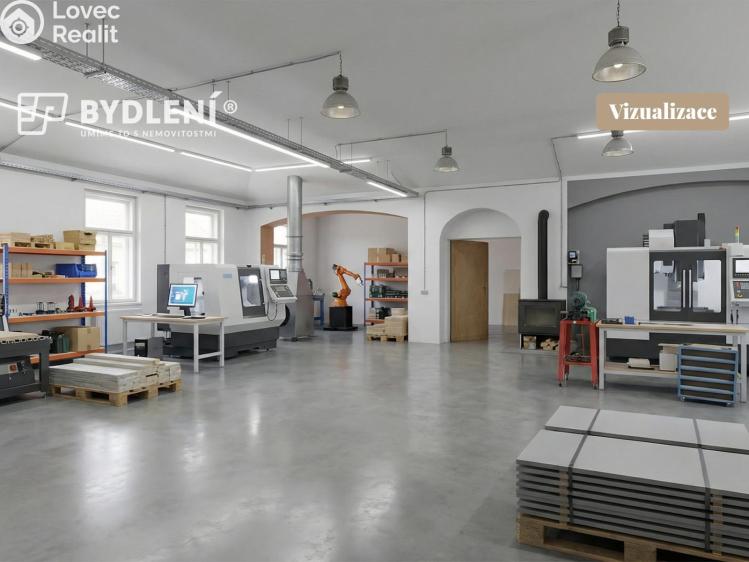 Prodej výrobní haly Malé Březno č. 15