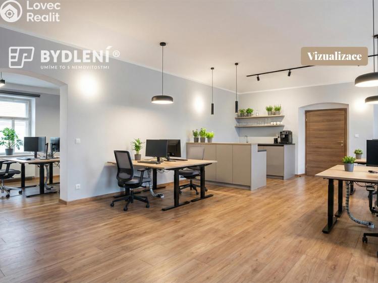 Prodej výrobní haly Malé Březno č. 16