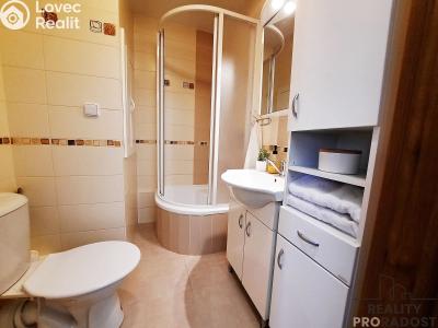 Pronájem bytu 1+1 Brno, Ondrouškova č. 5