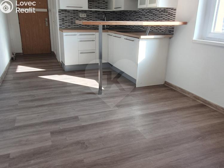 Pronájem bytu 1+KK Praha, Bryksova č. 5