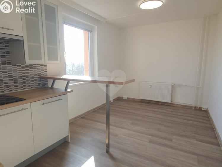 Pronájem bytu 1+KK Praha, Bryksova č. 6