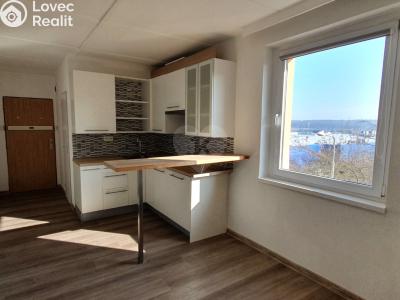 Pronájem bytu 1+KK Praha, Bryksova č. 3