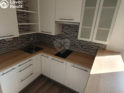 Pronájem bytu 1+KK Praha, Bryksova č. 4