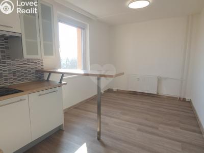 Pronájem bytu 1+KK Praha, Bryksova č. 6