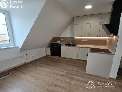 Pronájem bytu 1+KK Sokolov, Josefa Kajetána Tyla č. 6