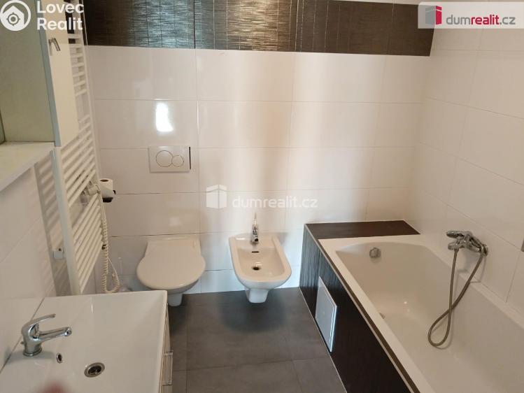 Rent apartment 3+KK Libež č. 18