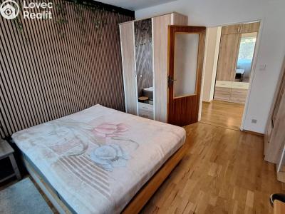 Pronájem bytu 2+1 Praha, Na mírách č. 1