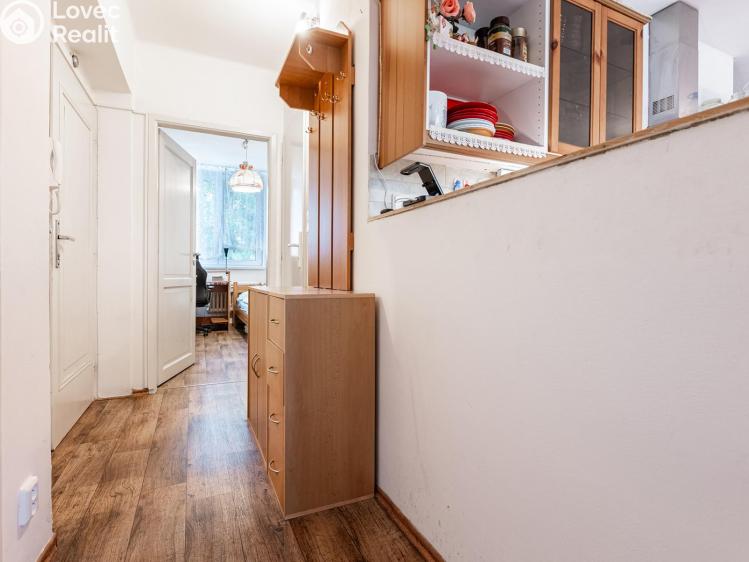 Pronájem bytu 4+KK Litoměřice, Družstevní č. 3