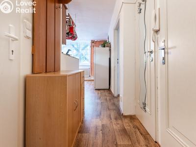 Оренда квартири 4+KK Litoměřice, Družstevní č. 4