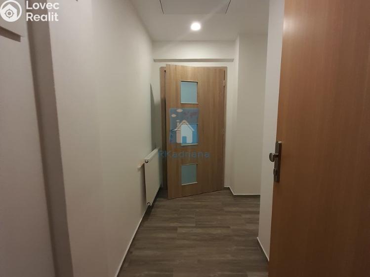 Pronájem bytu 2+KK Plzeň, Solní č. 12