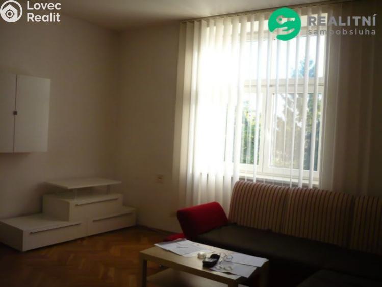 Pronájem bytu 1+1 Břeclav, Stromořadní č. 3