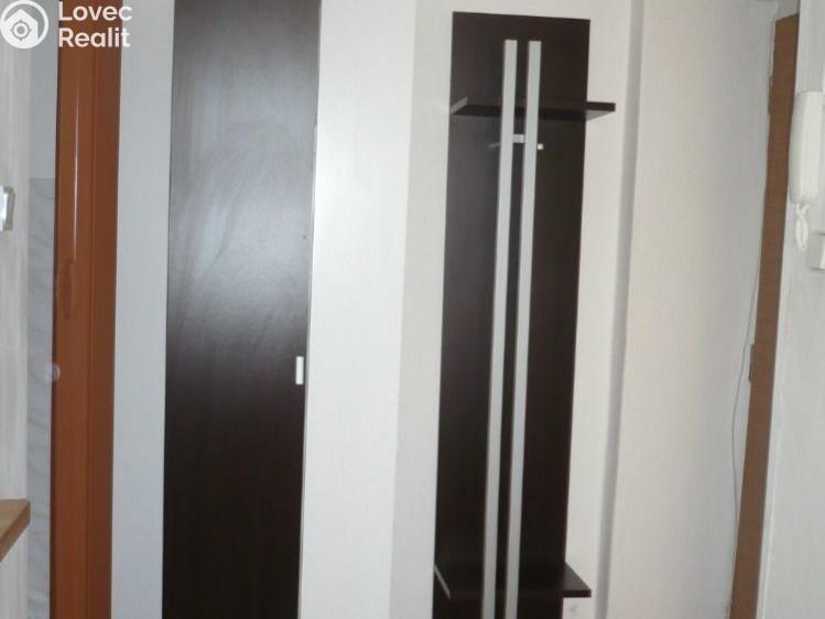 Pronájem bytu 1+1 Břeclav, Stromořadní č. 4