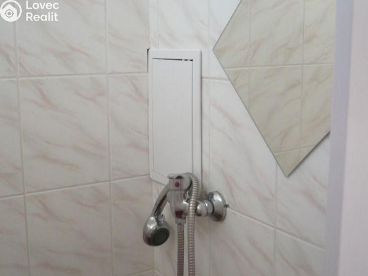 Pronájem bytu 1+1 Břeclav, Stromořadní č. 9