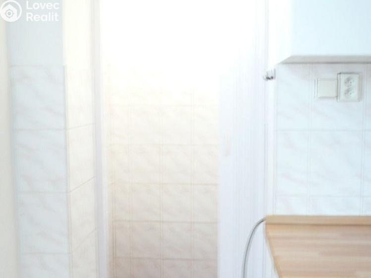 Pronájem bytu 1+1 Břeclav, Stromořadní č. 11