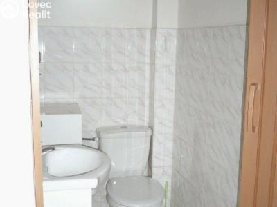 Pronájem bytu 1+1 Břeclav, Stromořadní č. 6