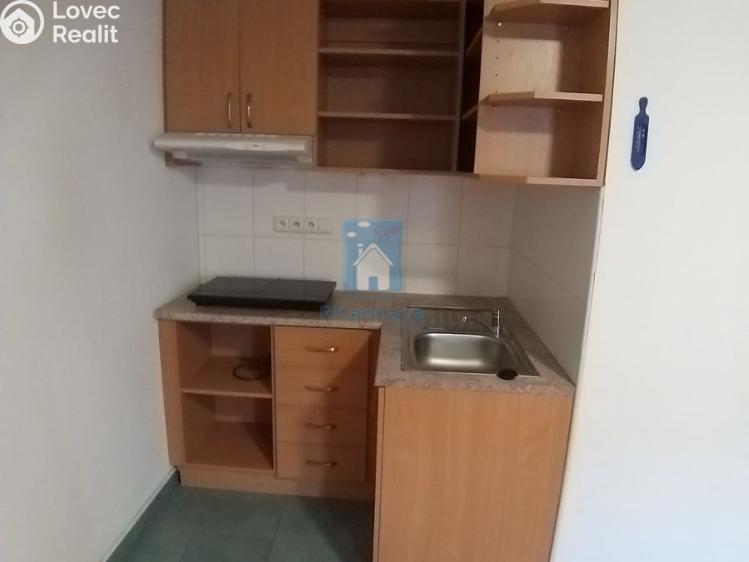 Pronájem bytu 1+KK Plzeň, V Úhlu č. 4