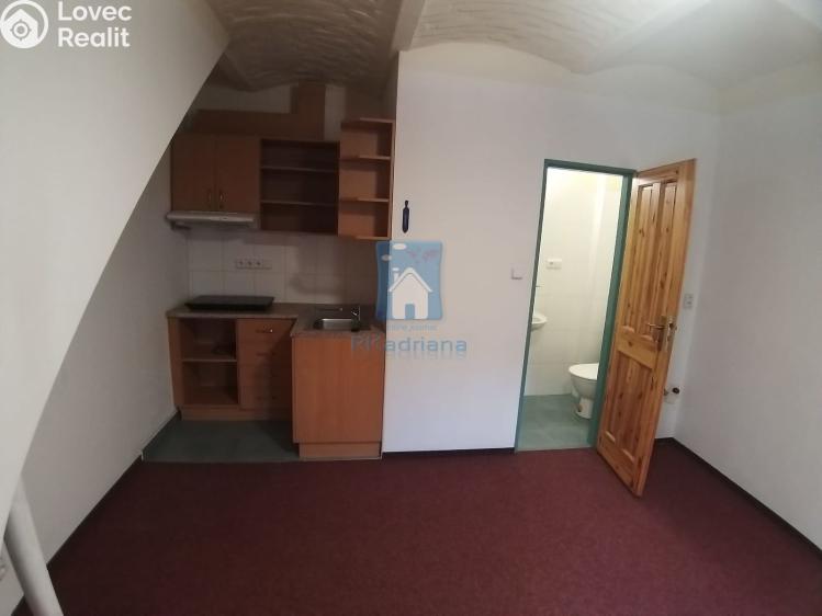 Pronájem bytu 1+KK Plzeň, V Úhlu č. 5