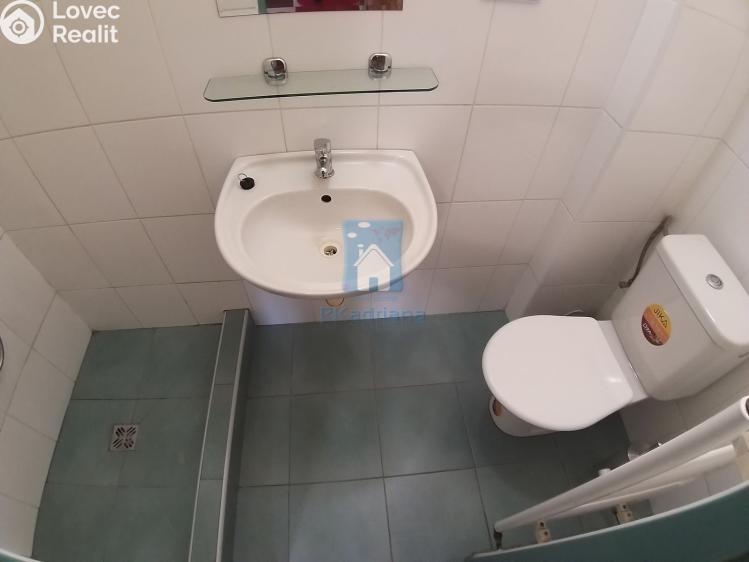 Pronájem bytu 1+KK Plzeň, V Úhlu č. 6