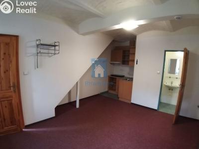 Pronájem bytu 1+KK Plzeň, V Úhlu č. 1