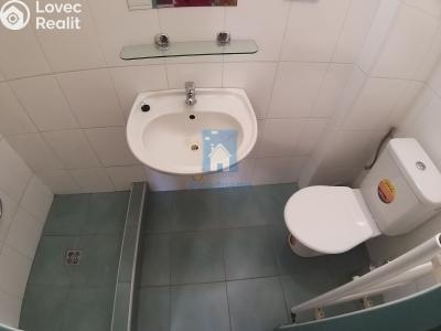 Pronájem bytu 1+KK Plzeň, V Úhlu č. 6