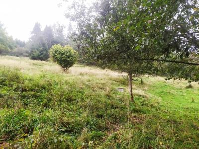 Prodej chalupy Čadca,Slovensko č. 3