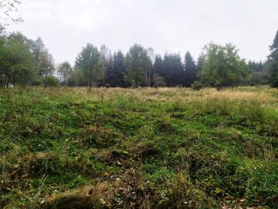 Prodej chalupy Čadca,Slovensko č. 5