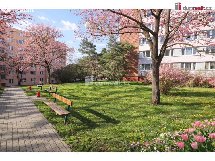 Prodej bytu 3+1 Praha 10, Jabloňová č. 30