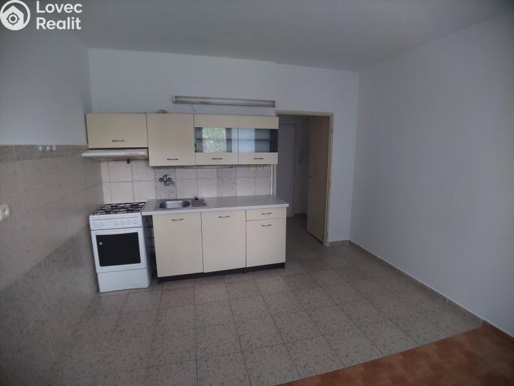 Pronájem bytu 1+1 Tábor, Náchodská 2663 č. 3