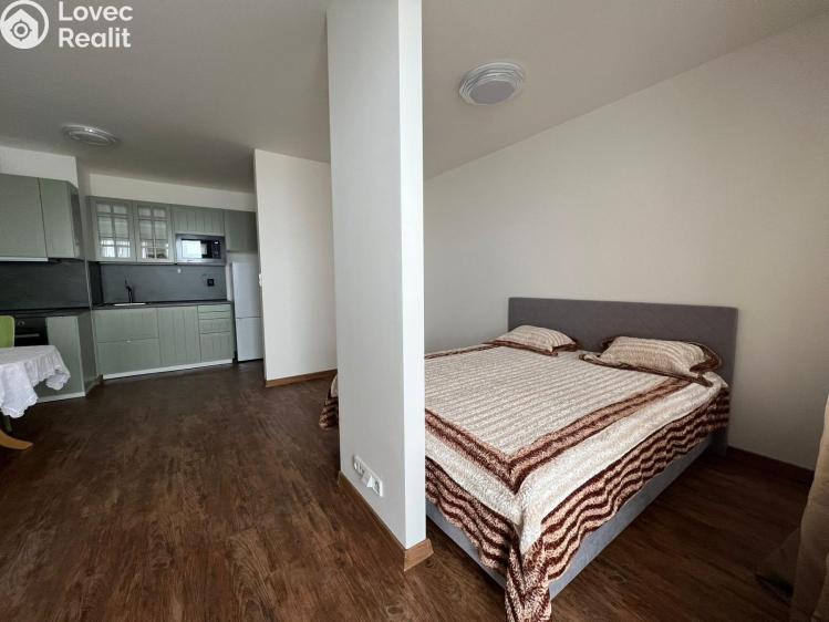 Pronájem bytu 1+KK Praha 10, Dolní Měcholupy, Honzíkova 711/19 č. 1