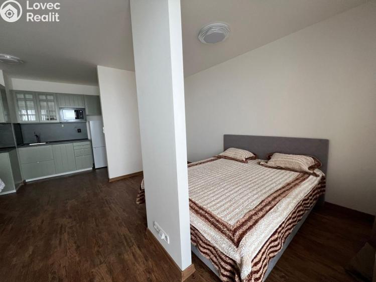 Pronájem bytu 1+KK Praha 10, Dolní Měcholupy, Honzíkova 711/19 č. 29