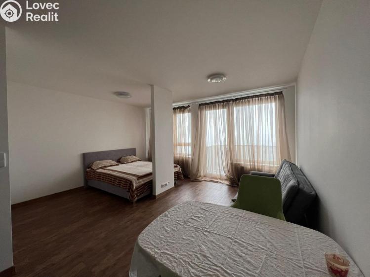 Pronájem bytu 1+KK Praha 10, Dolní Měcholupy, Honzíkova 711/19 č. 31