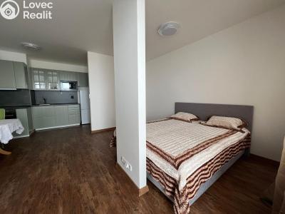 Pronájem bytu 1+KK Praha 10, Dolní Měcholupy, Honzíkova č. 1