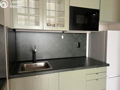 Pronájem bytu 1+KK Praha 10, Dolní Měcholupy, Honzíkova č. 4