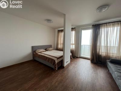 Pronájem bytu 1+KK Praha 10, Dolní Měcholupy, Honzíkova č. 5